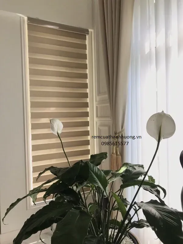 Rèm Cửa Văn Phòng Quận Bình Tân rsz z aaaa e cc d b d b