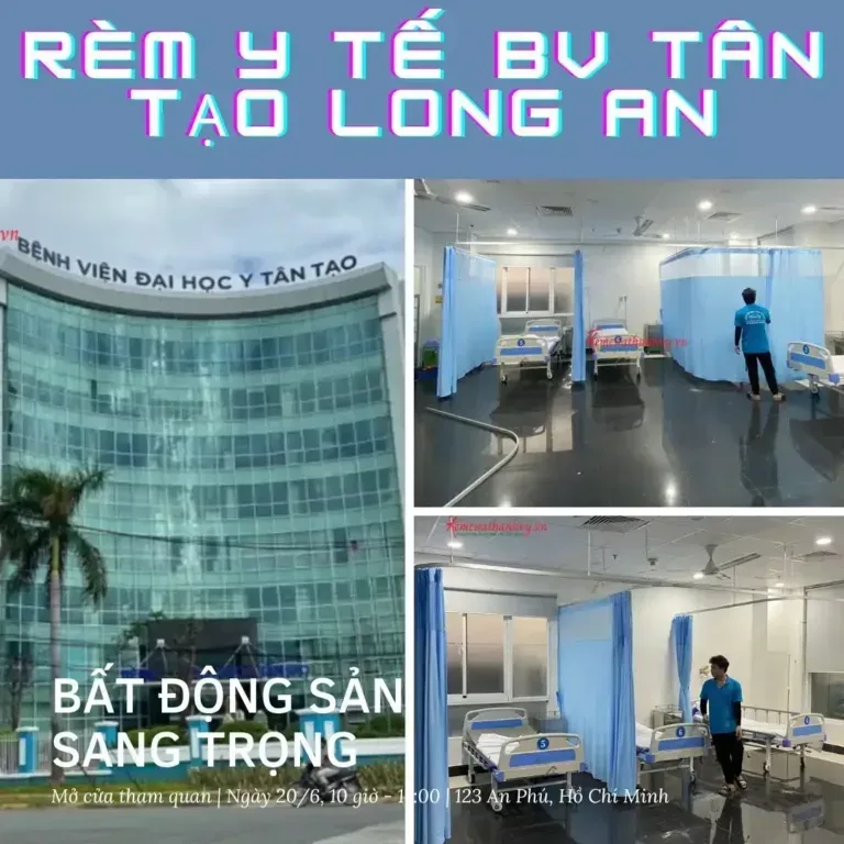 Rem-y-te-tan-tao-binh-tan